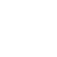 LinkedIn Button